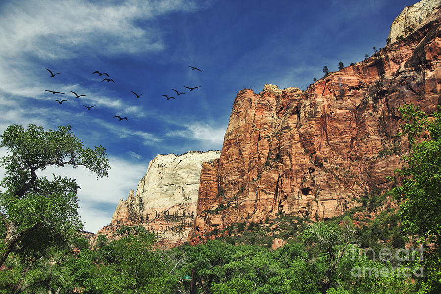Zion National Park Awesome Nature   Photograph by Chuck Kuhn