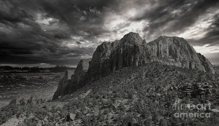 Zion National Park BW Wow Photograph by Chuck Kuhn