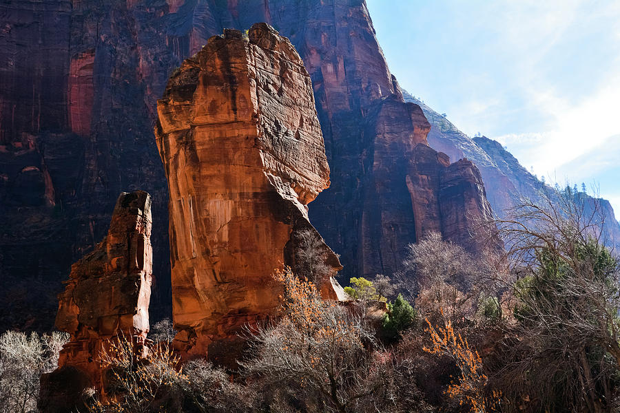 Zion National Park Canyons Photograph by Kyle Hanson