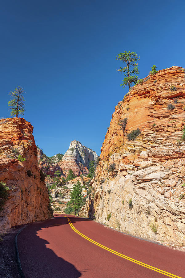 Zion National Park Highway Photograph by Alan Copson