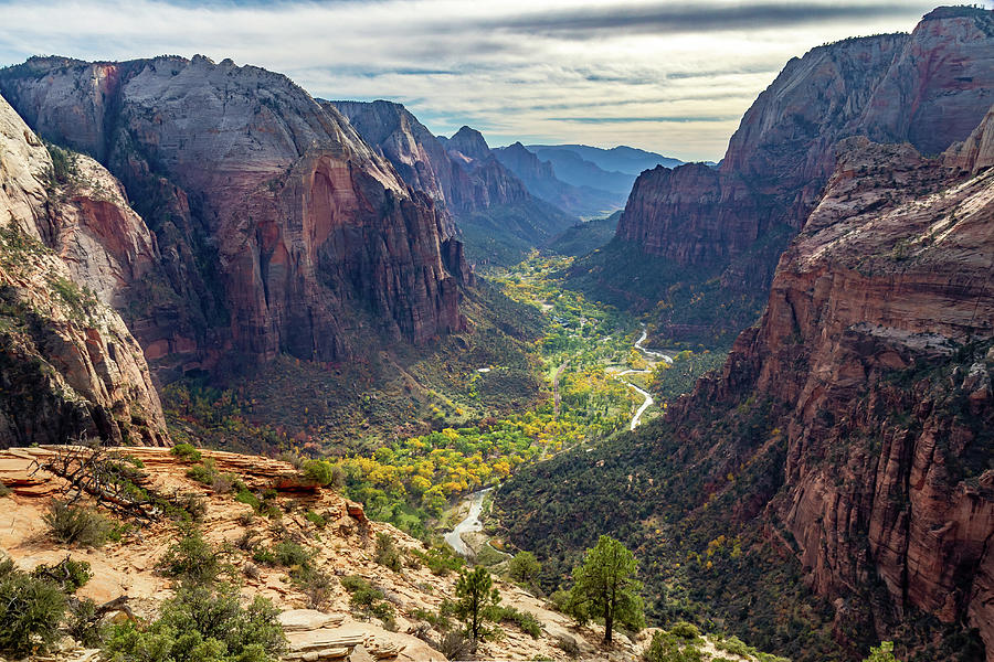 Zion National Park in Autumn Photograph by Pierre Leclerc Photography