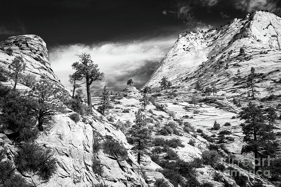 Zion National Park In Black And White Photograph