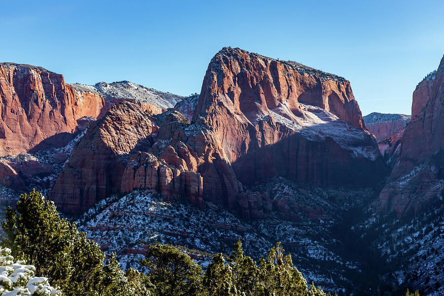 Zion National Park in the Winter Photograph by Ed Clark