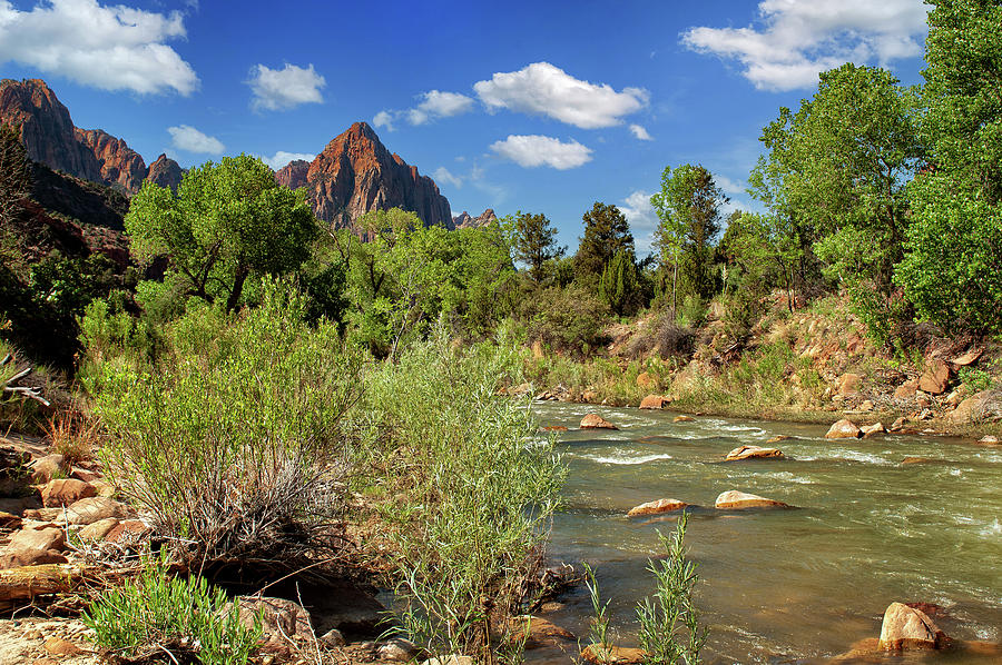 Zion National Park In Utah Photograph by Jim Vallee