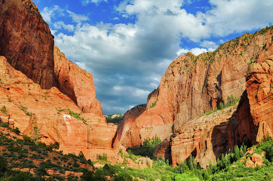 Zion National Park Kolob Canyons Photograph by Kyle Hanson