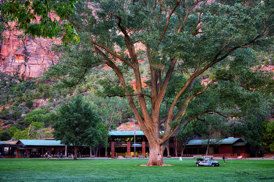 Zion National Park Lodge Area Crimson Walls 02 Photograph By