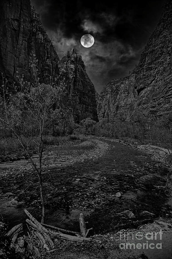Zion National Park Moon Glow Black White Utah USA Photograph by Chuck Kuhn