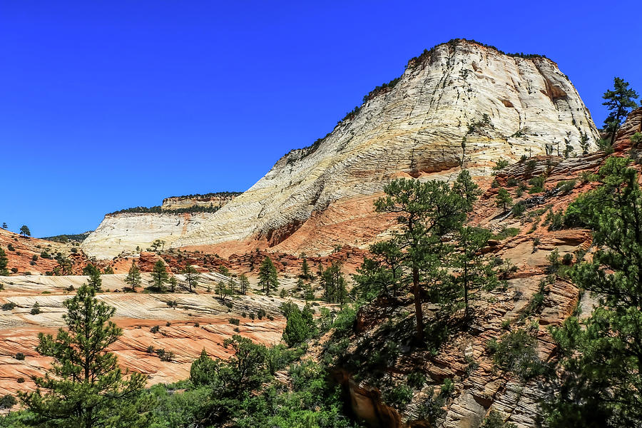 Zion National Park Mountains 2 Photograph by Dawn Richards