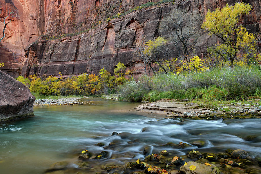 Zion National Park River Walk 2 Photograph by Dean Hueber - Fine Art ...