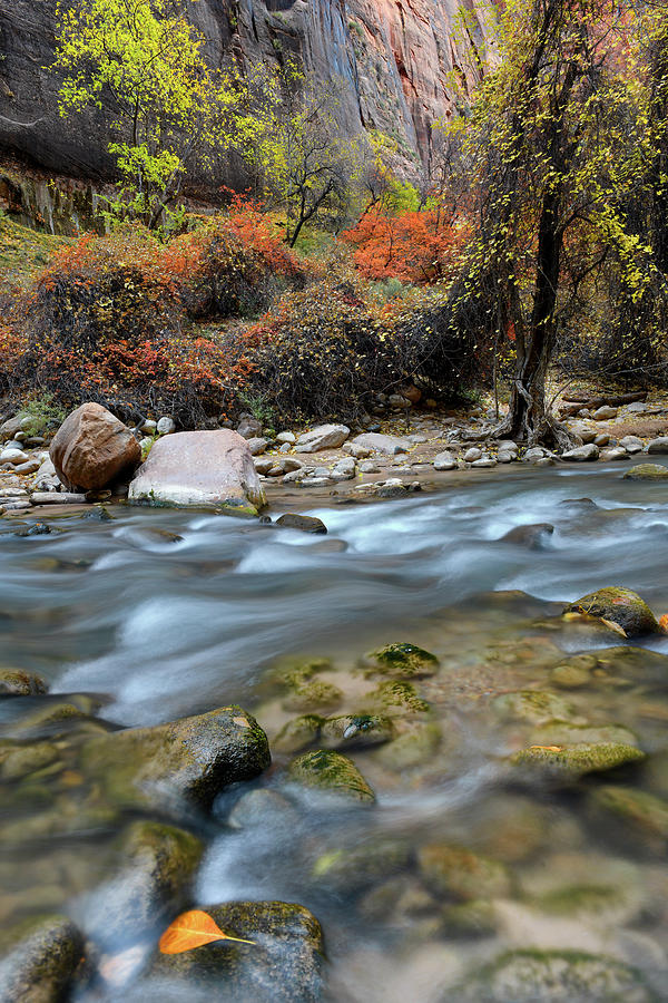 Zion National Park River Walk 3 Photograph by Dean Hueber - Fine Art ...