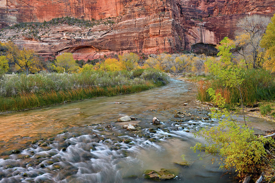 Zion National Park River Walk 5 Photograph By Dean Hueber - Fine Art 