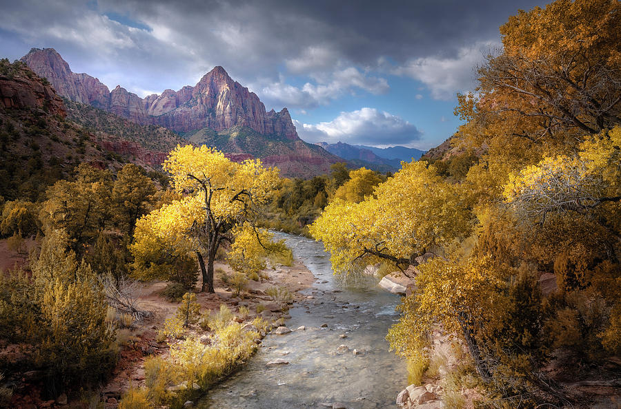 Zion national park Photograph by Rob Visser - Fine Art America