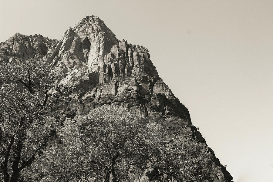 Zion National Park Series 6 Photograph by Blenda Studio - Fine Art America