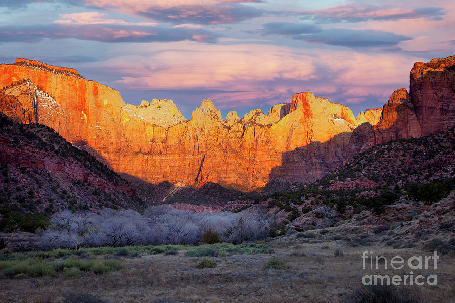 Zion National Park Sunrise - Utah Photograph by Brian Jannsen