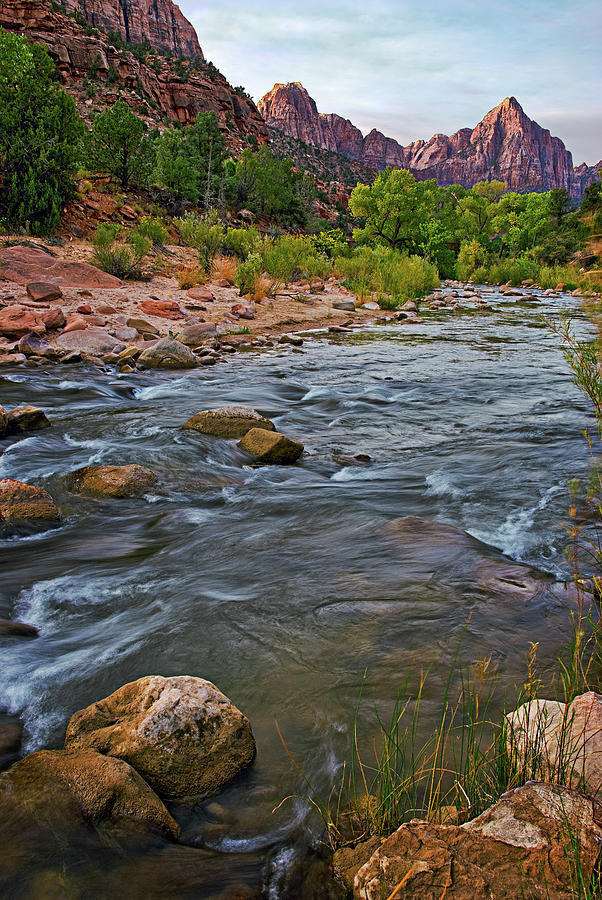 Zion National Park Watchman from the Virgin River Photograph by Dave Dilli