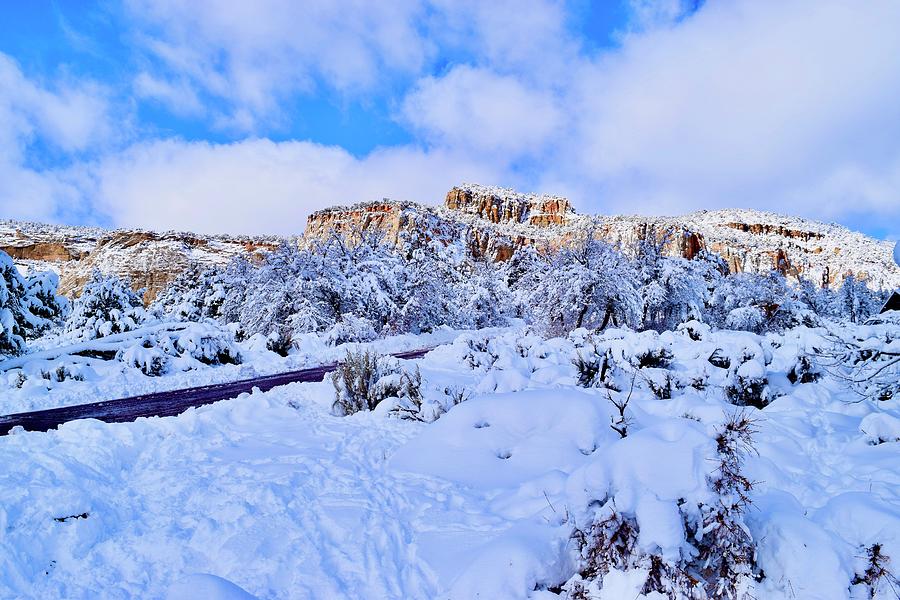 Winter wonderland Pine Creek Zion Photograph by Bnte Creations
