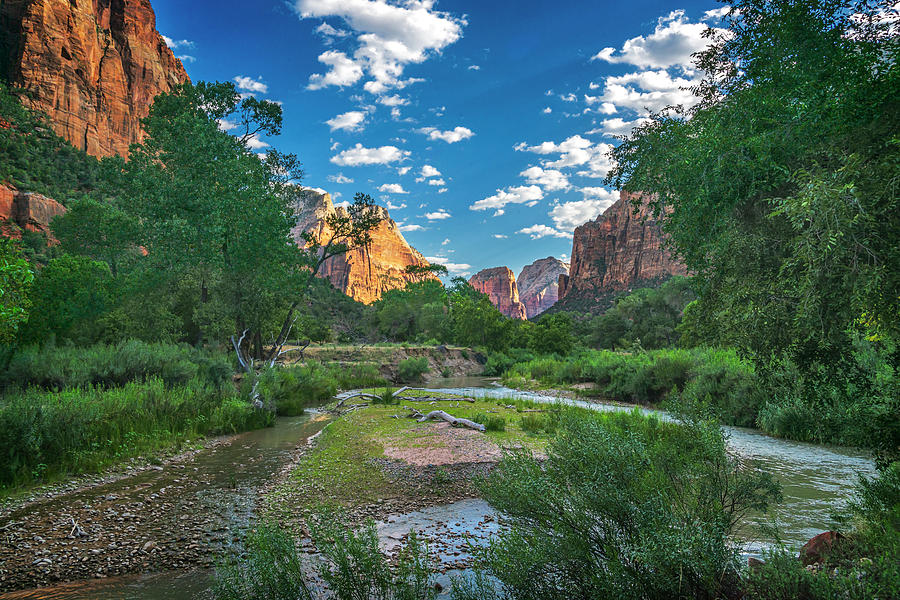 Zion NP Canyon and Virgin River-7R2_DSC0897_08092017 Photograph by Greg Kluempers