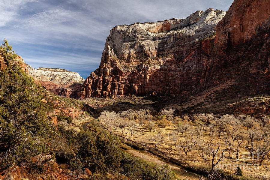 Zion NP - Zion Canyon and Virgin River Photograph by Craig A Walker