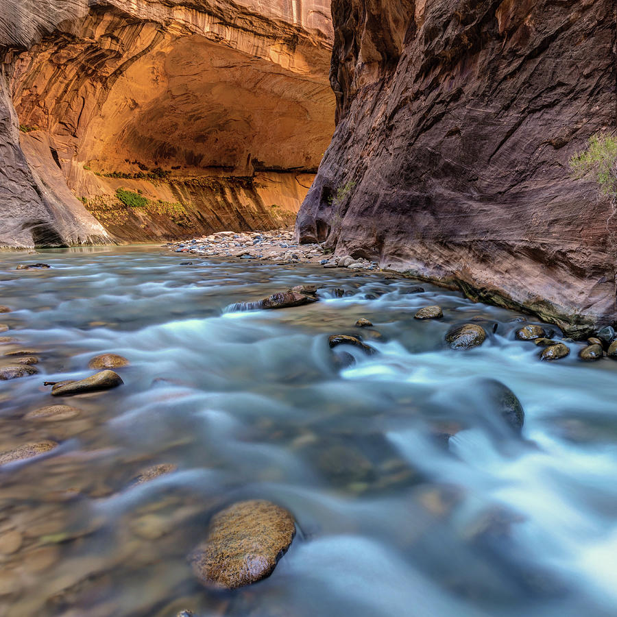 Zion River Canyon Photograph by Sqwhere Photo - Fine Art America