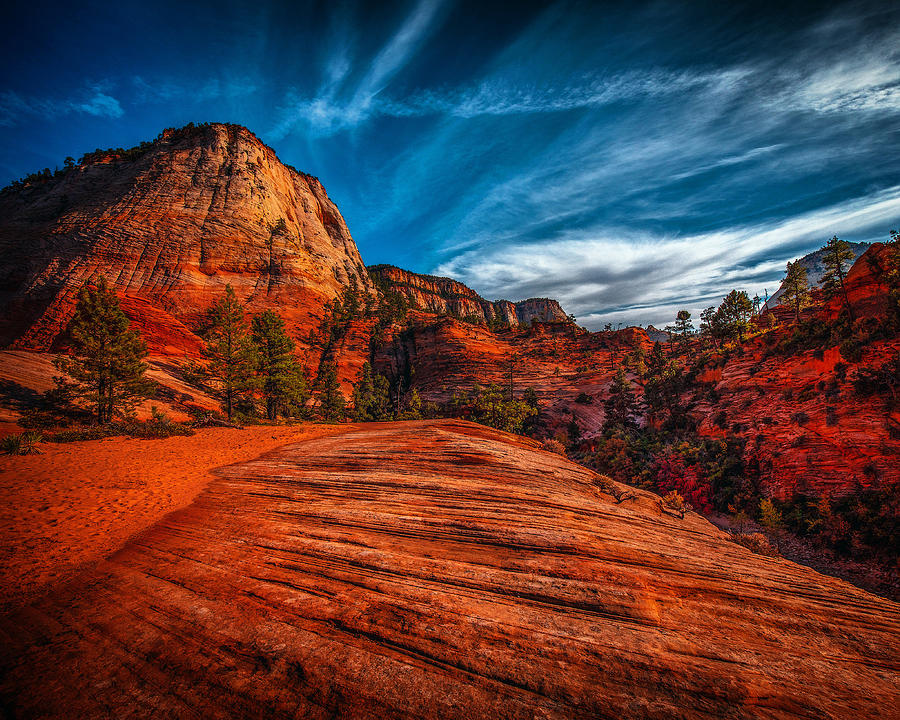 Zion Textures Photograph by Andrew Zuber
