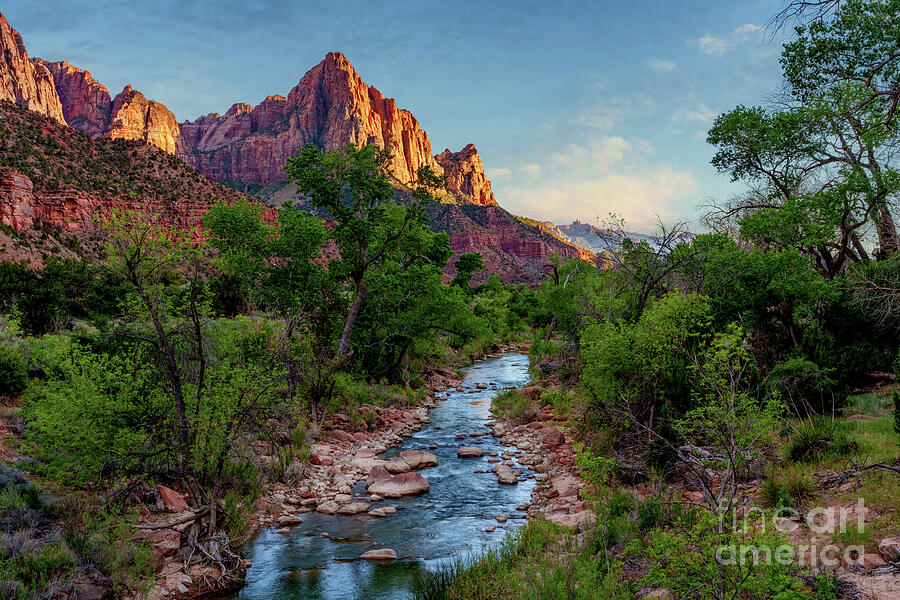 Zion The Watchman Sunset Photograph by Jennifer White Zion The Watchman Sunset Photograph by Jennifer White