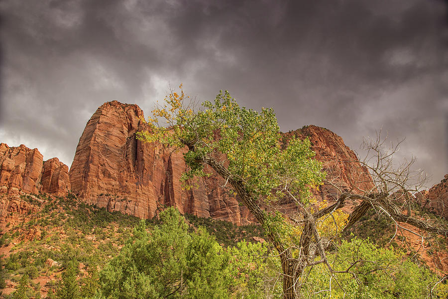 Zion thunderstorm Photograph by Kunal Mehra