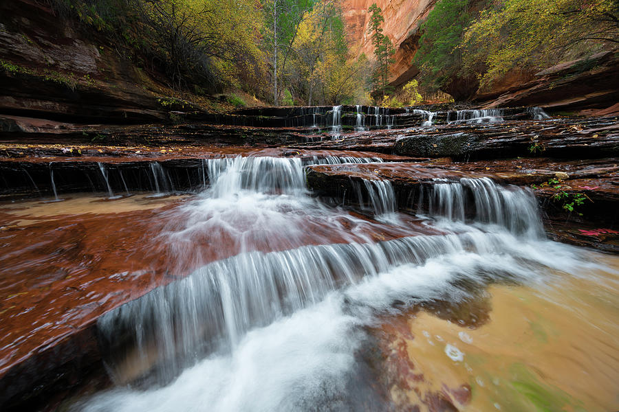 Waterfall Photograph - Zion Trail Waterfall - Portrait Version by Larry Marshall