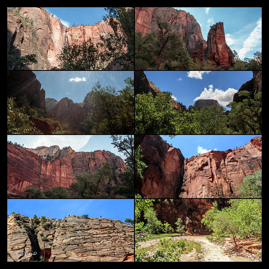 Zion - U.S. National Parks - Scenic Collage 2 Photograph by Ronald Reid