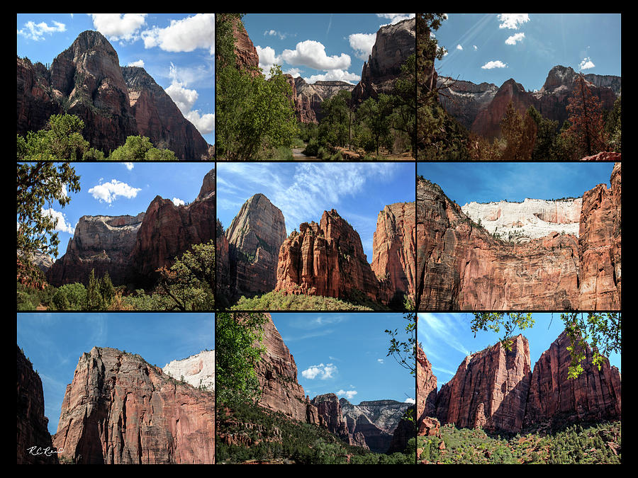 Zion - U.S. National Parks - Scenic Collage  Photograph by Ronald Reid