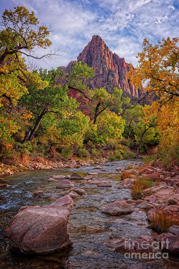 Zion Watchman Photograph by Charles Dobbs