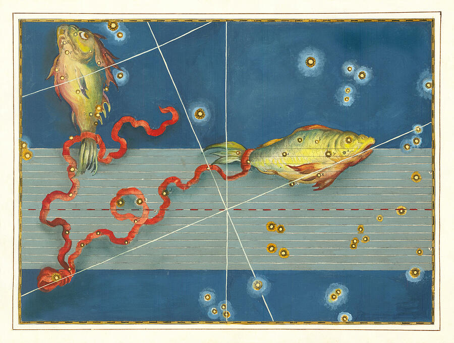 Zodiac art - Pisces, constellation charts from Uranometria Mixed Media by Alexander Mair and Johann Bayer