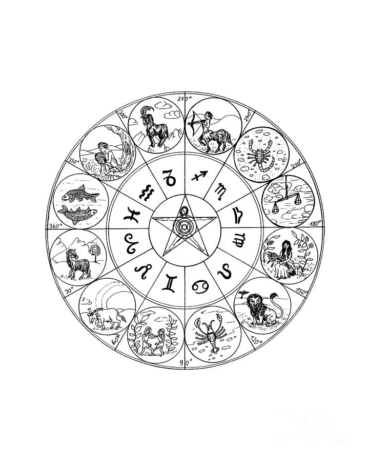 Sign Digital Art - Zodiac Chart by Madame Memento