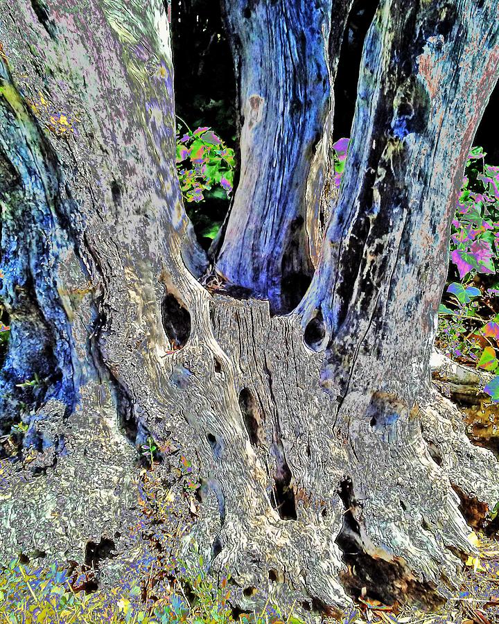 Zombie Tree Trunk Photograph by Andrew Lawrence
