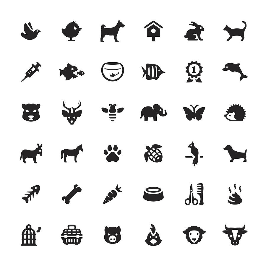 Zoo and Pets vector symbols and icons Drawing by Lushik
