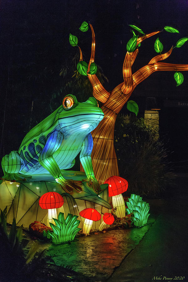 Zoo Lights Seattle 01 Photograph by Mike Penney Fine Art America