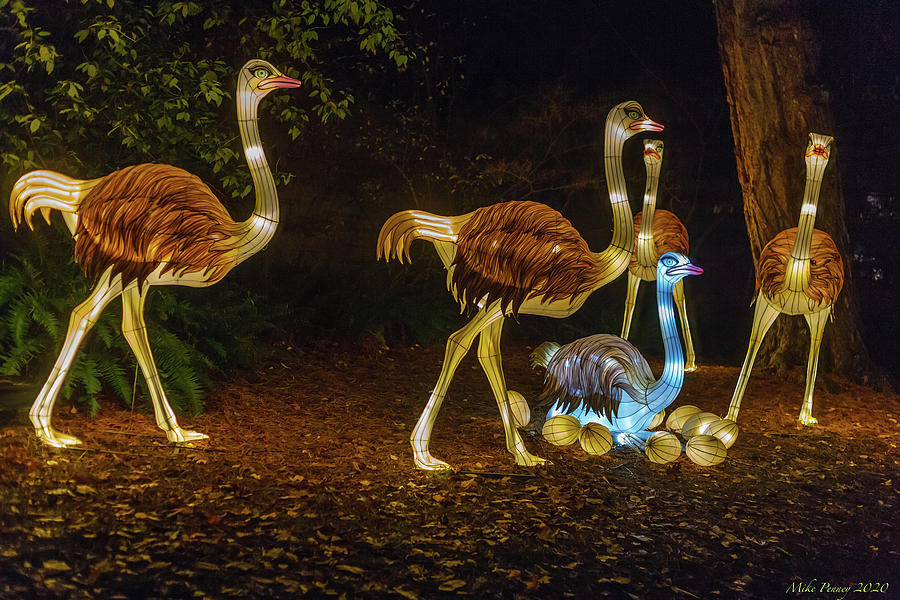 Zoo Lights Seattle 40 Photograph by Mike Penney Fine Art America