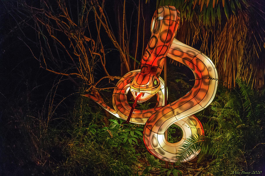 Zoo Lights Seattle 42 Photograph by Mike Penney Fine Art America