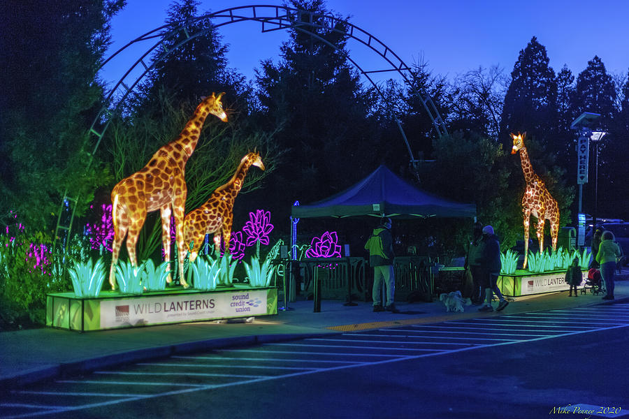 Zoo Lights seattle 48 Photograph by Mike Penney Fine Art America