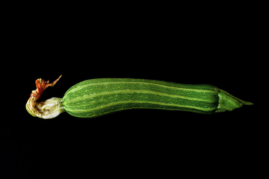 Zucchini Lines Photograph