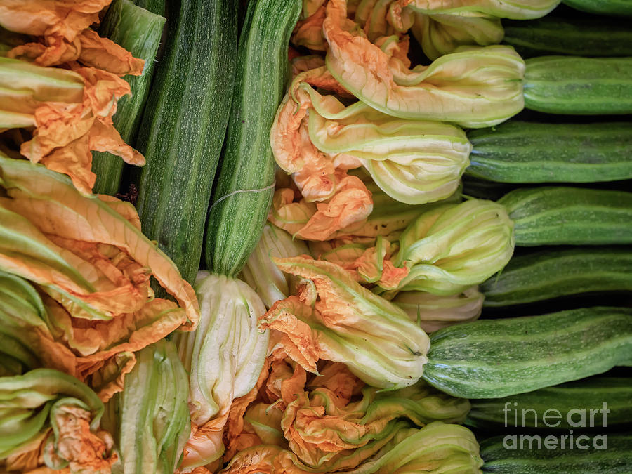 Zucchini With Yellow Flowers For Sale On A Farmers Market, Rome Photograph