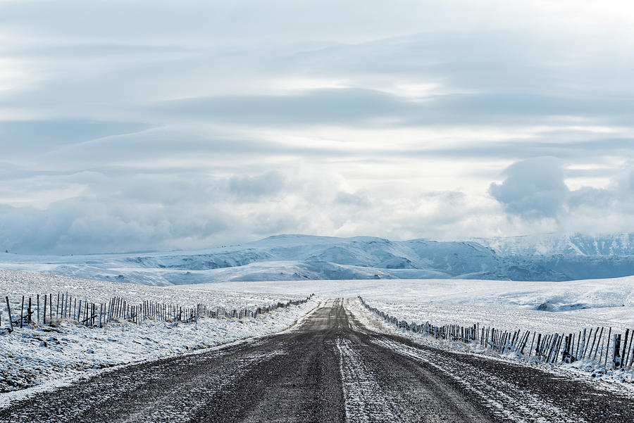 Zumwalt Prairie with the fresh Snow  Digital Art by Michael Lee