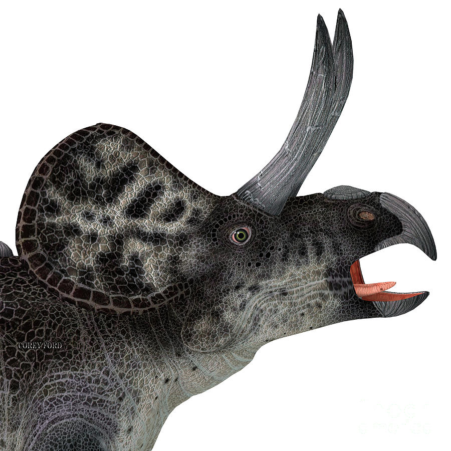Zuniceratops Dinosaur Head Digital Art by Corey Ford