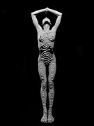 0029-DJA Light Above Illuminates Zebra Striped Woman Slim Body Black and White Fine Art Chris Maher Photograph by Chris Maher