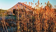Autumn Color 5079 #1 Photograph by Jerry Sodorff