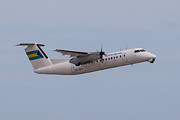 Bahamas Air #1 Photograph by Dart Humeston