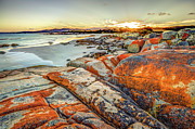 Bay of Fires #1 Photograph by Benny Marty Bay of Fires #1 Photograph by Benny Marty