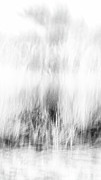 Beach Pastel Narrow 4 #1 Photograph by Alissa Beth Photography