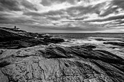 Beavertail #1 Photograph by Bryan Bzdula