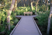 Bench #1 Photograph by Richard Barone