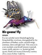 Birguanafly Digital Art by Arthur Fix